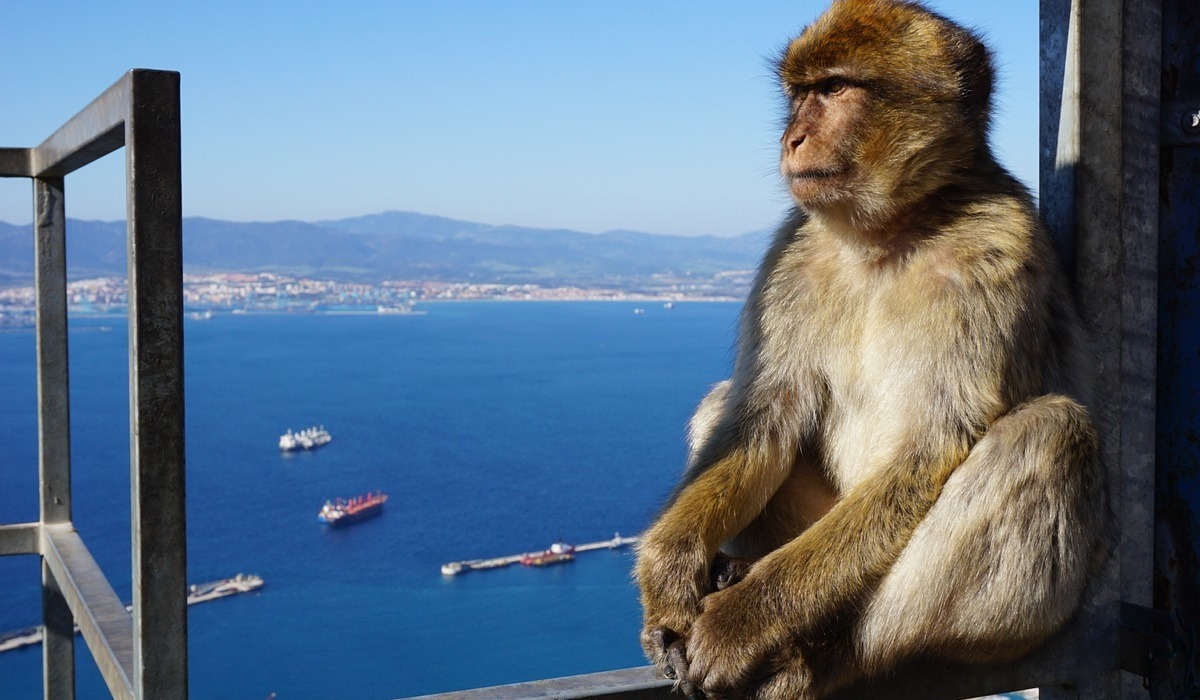 Voyage d'une journée à Gibraltar avec départ de Cabanas de Tavira